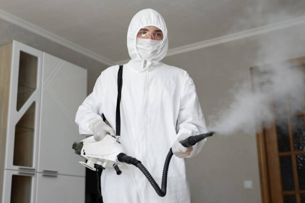 Delano, CA Mold Removal & Remediation Company