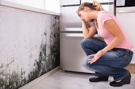 Mold Remediation for Vacation Homes in Delano, CA